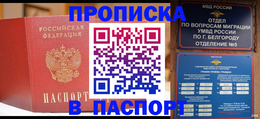 временная регистрация в квартире в Курчалом